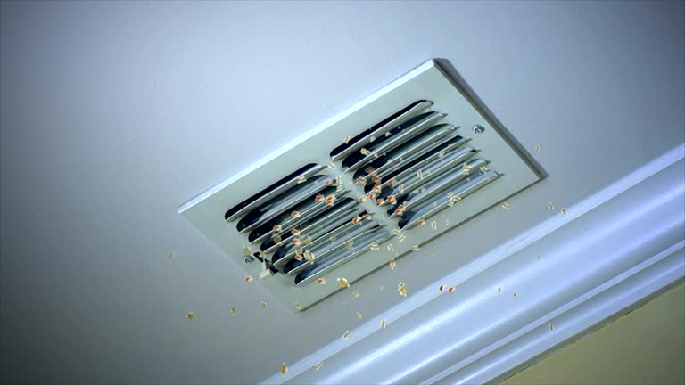 Best Local Air Duct Cleaning Services  in Bloomgton, IN
