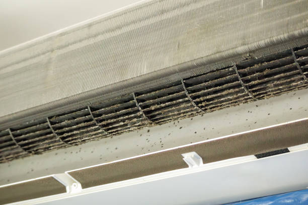 Best Air Duct Cleaning Near Me  in Bloomgton, IN